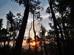 -火炉山森林公园