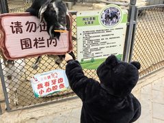 -保定市动物园