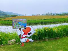 -径山花海