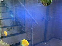 -艾维口腔(春江花月门诊部)