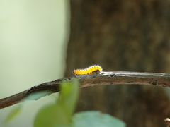 -碓臼峪自然风景区