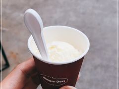 -哈根达斯(陆家浜路店)