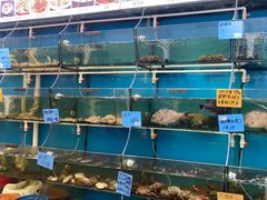 -鹭港渔家海鲜大排档