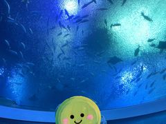 -珠海长隆海洋王国