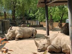 -西安秦岭野生动物园