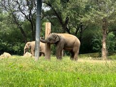 -北京野生动物园