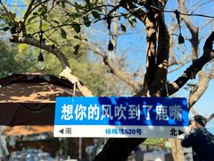 -美人鱼悬崖海景餐厅(鹿嘴山庄店)