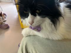 -平行世界·猫咖(首经贸店)