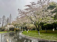 -浙江西子宾馆·牡丹厅