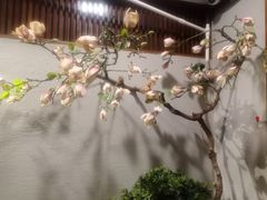 -天天鱼港·海鲜·鲅鱼水饺·招牌烤鸭(黄骅店)