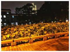 -四川大学(望江校区)