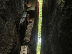 -五女峰国家森林公园