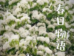 -国家植物园