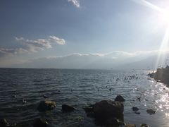 -大理老字号·舟渔的鱼野生菌海景餐厅(双廊店)