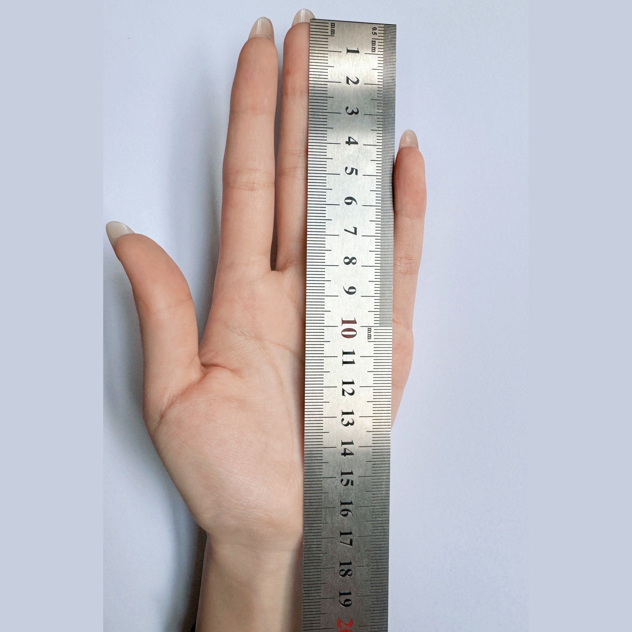 揭秘❗️手模的手有多长❓