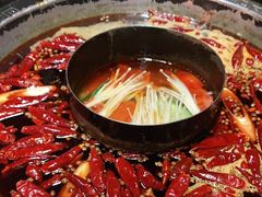 -渝大狮毛肚老火锅(普陀店)