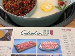 -青瓷火锅料理(西单大悦城店)