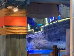 -海合安青岛极地海洋公园
