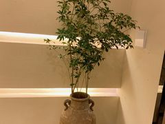 -五观堂素食(新华路店)