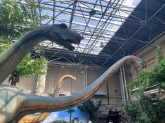 -国家自然博物馆