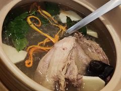花螺鸡汤-神仙馆(衡山路店)