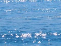 -左海海底世界
