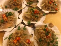 蒜蓉扇贝-全渔村小海鲜