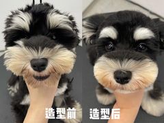 -comecome来吧宠物(奥克斯中心店)