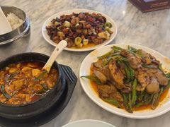 -陈麻婆豆腐总店