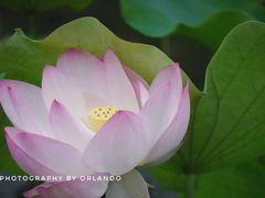 -四川大学(华西校区)