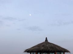 -通湖草原