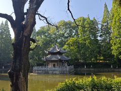 -习家池
