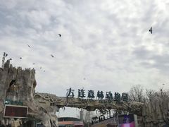 -大连森林动物园