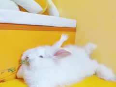 -茂业百货(东门店)