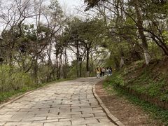 -高尔山公园