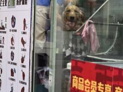 -它主义宠物(梁溪万达店)