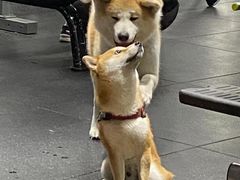 -YCHL Studios健身工作室(市二宫店)