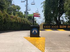 -圣淘沙天际线斜坡滑车