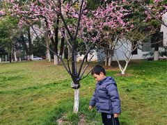 -堤角公园