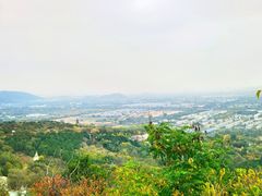 -北京西山国家森林公园