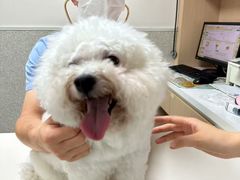 -谐和贝康宠物医院24小时·宠保定点(急重症转诊中心)