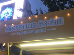 -维尔纳斯·生日蛋糕动物奶油冰淇淋蛋糕(人大店)