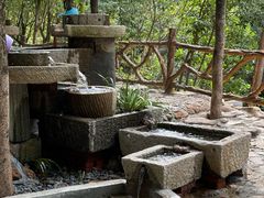 -广州白江湖森林公园