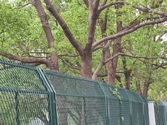 -东华大学(松江校区)