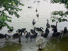-艾溪湖湿地公园