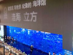 -成都浩海立方海洋公园