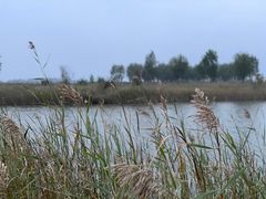 -野鸭湖国家湿地公园