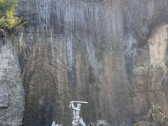 -西双版纳原始森林公园