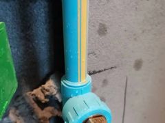 -大树装饰·十年本土家装
