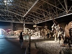 -世界恐龙谷景区